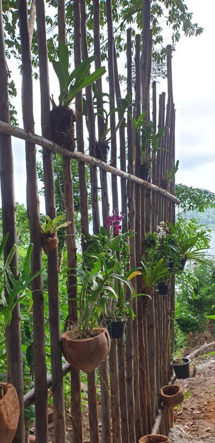 Jeroen'S Jungle View Apartment Koh Chang Exterior photo